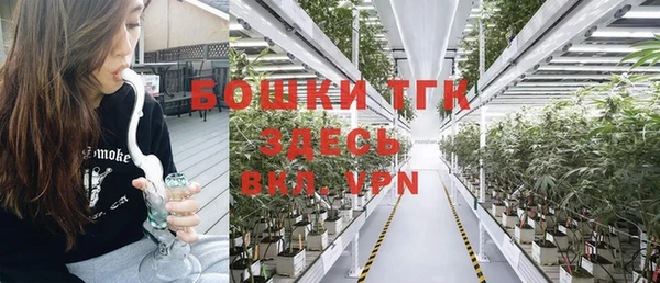 тгк Арсеньев
