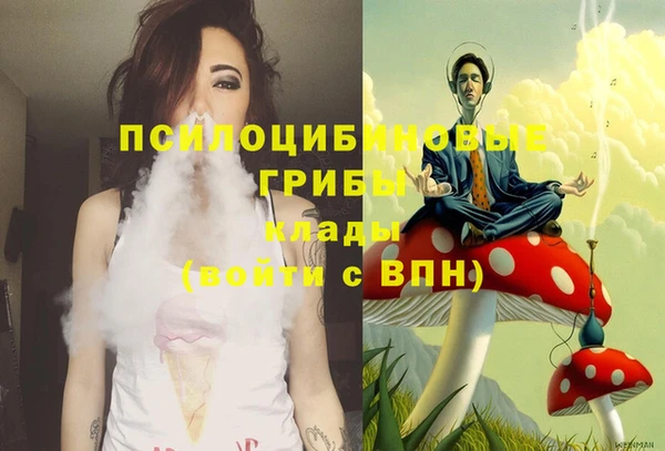прущая мука Армянск