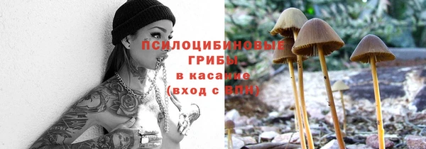 тгк Арсеньев
