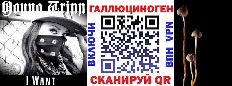 Псилоцибиновые грибы Psilocybe  Салехард 